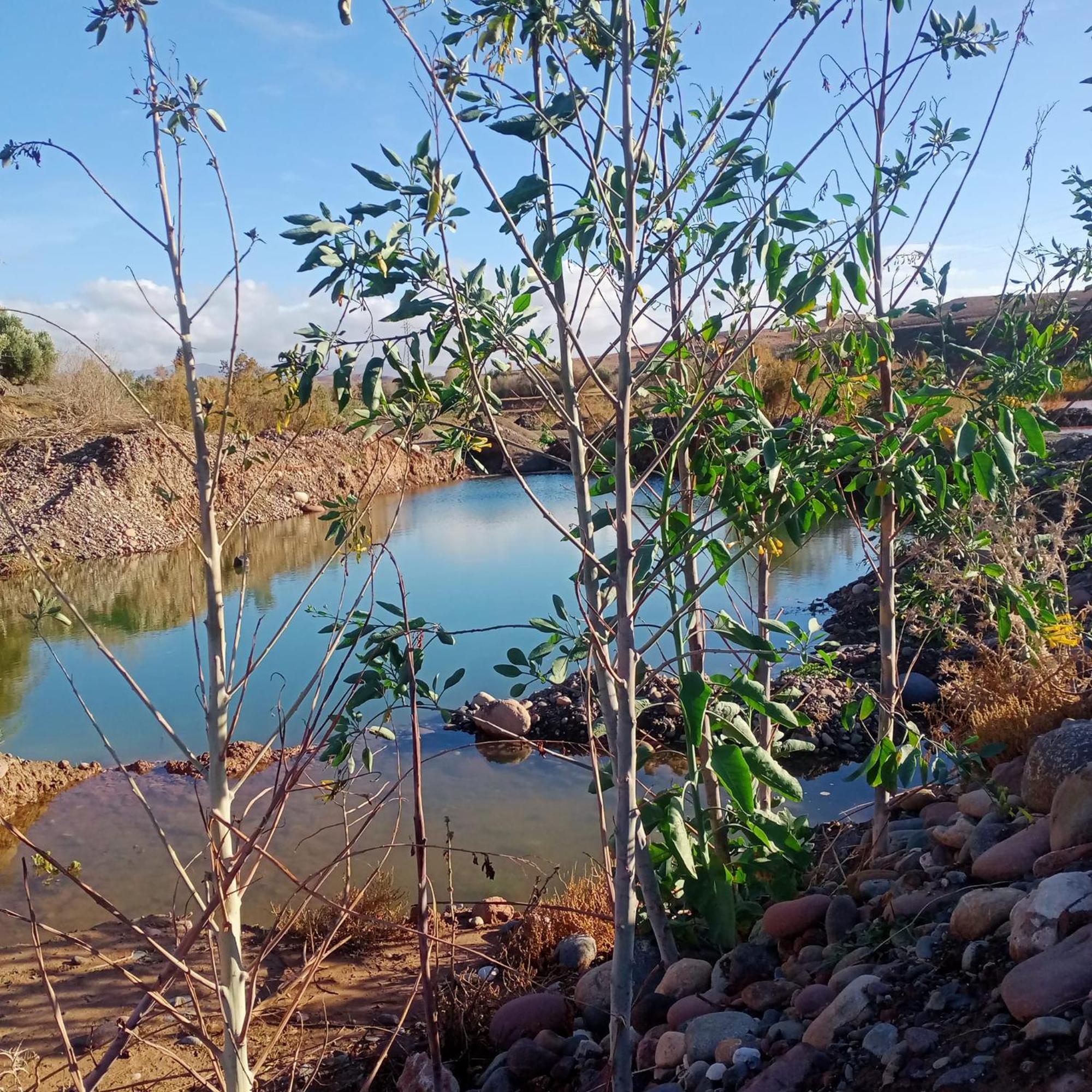 Отель Ngayan Camp Taizelt Экстерьер фото